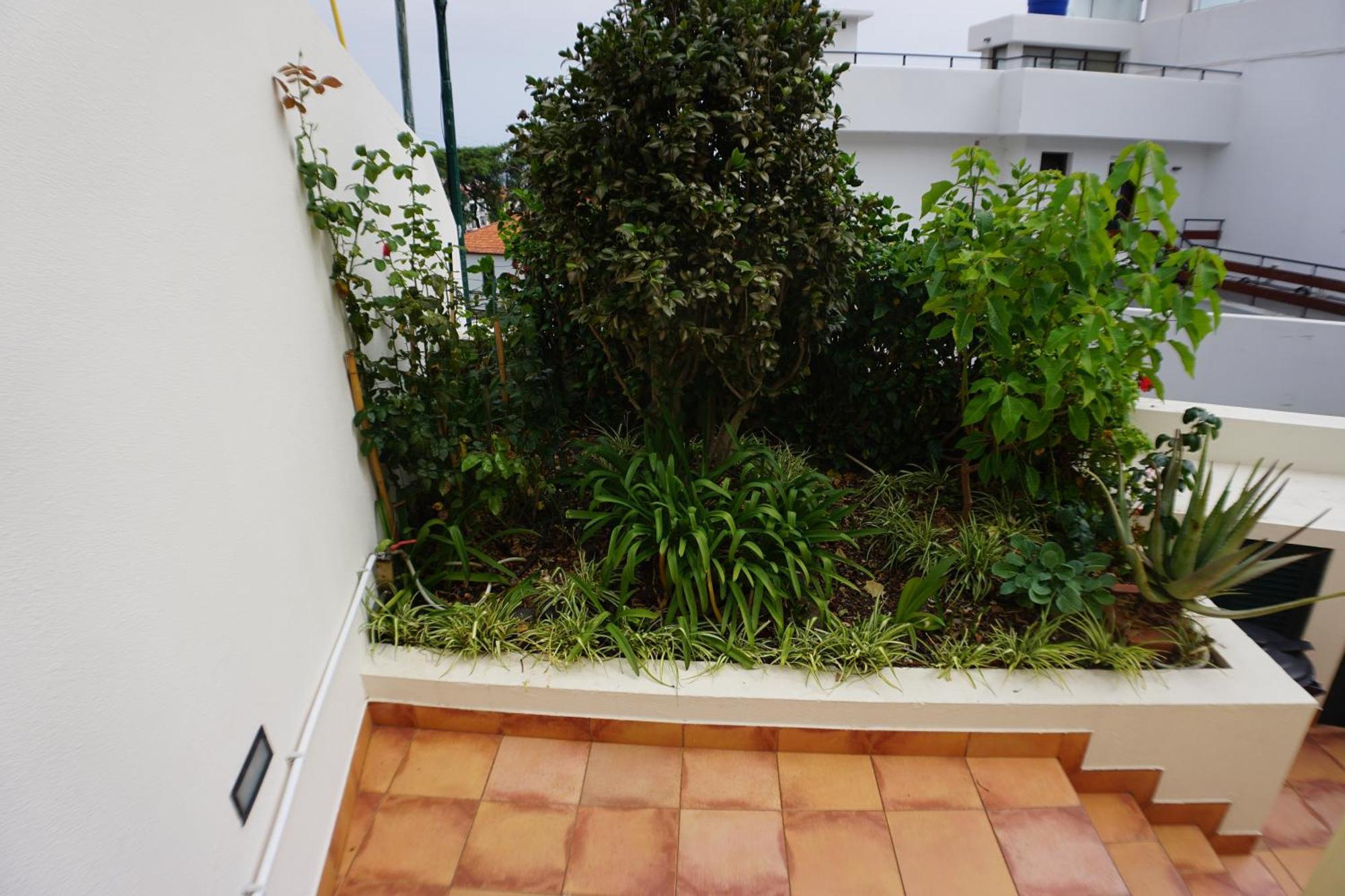 פונשל !Your Home In Madeira מראה חיצוני תמונה